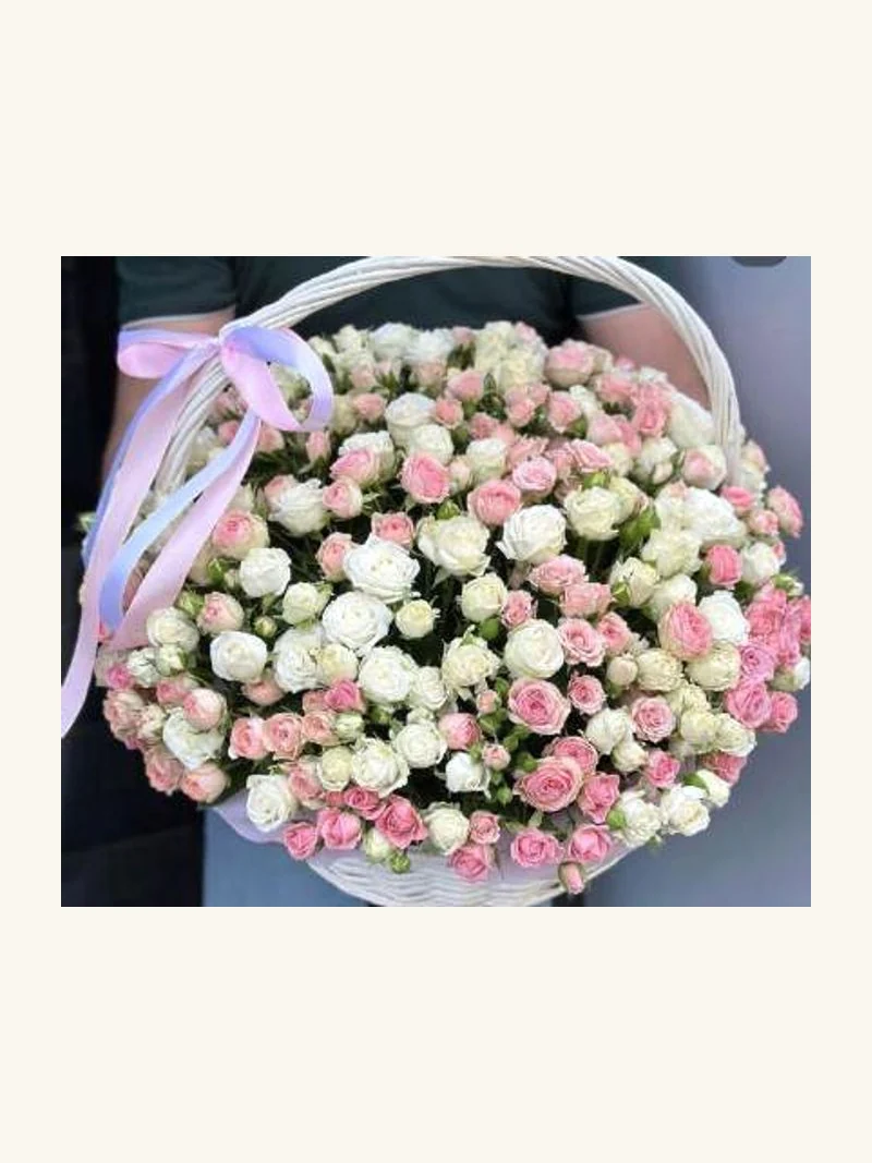 Spray pink white
